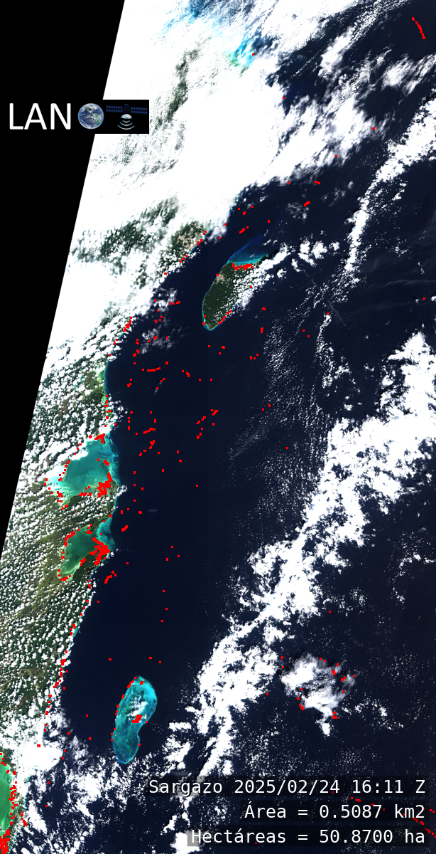 Detección sargazo LANOT