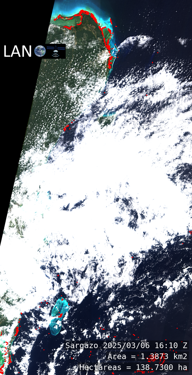 Detección sargazo LANOT