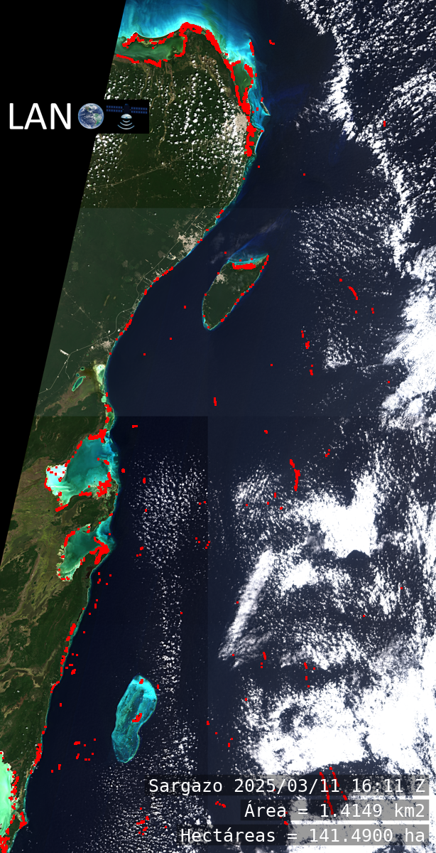 Detección sargazo LANOT